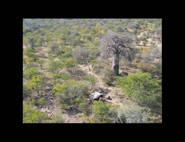 FARM FOR SALE IN MOPANE